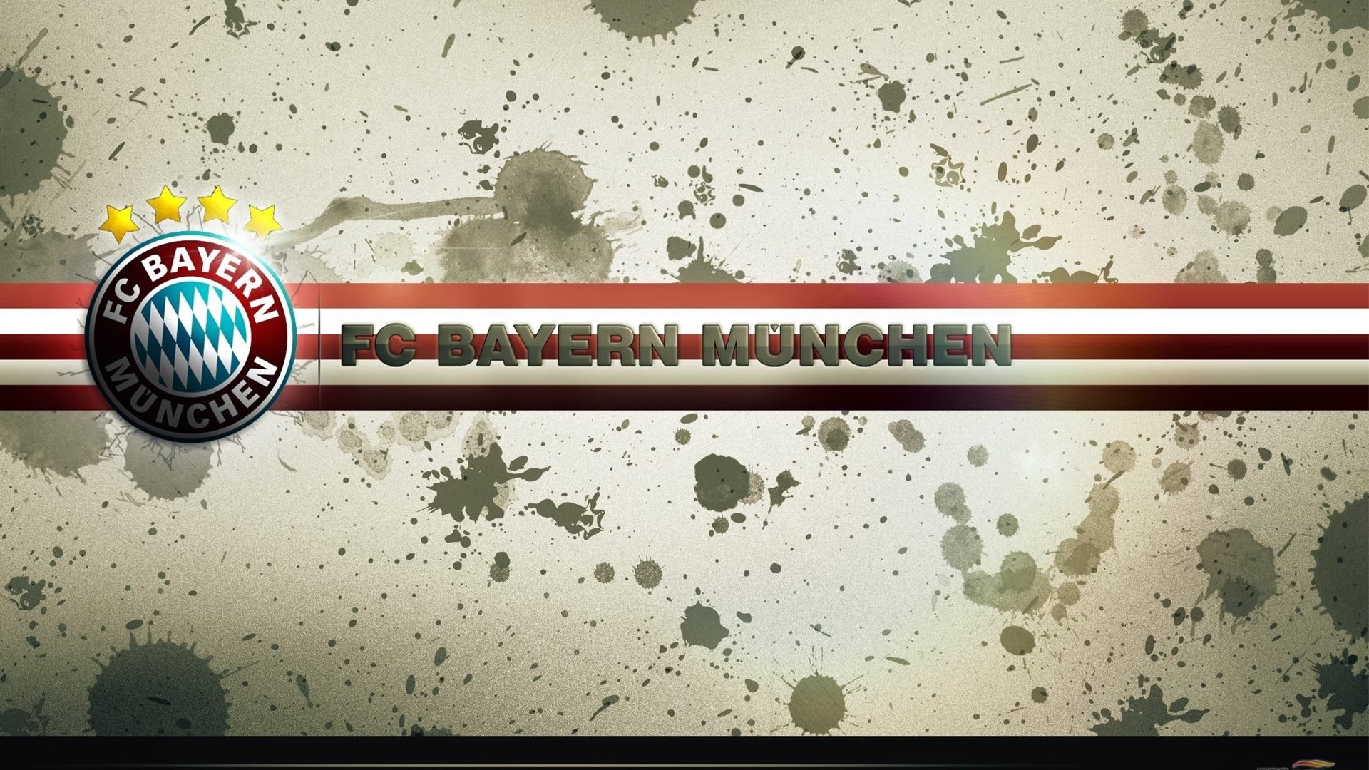 球队年度财报显示商业运营稳步增长引投资者关注，球队商业价值